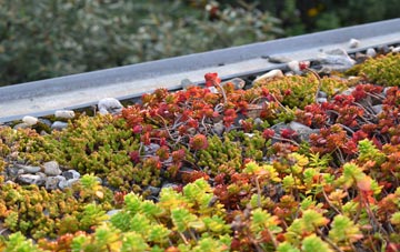 the cost of Hindsford green roof installation