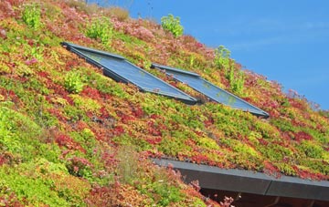 Hindsford living roof systems
